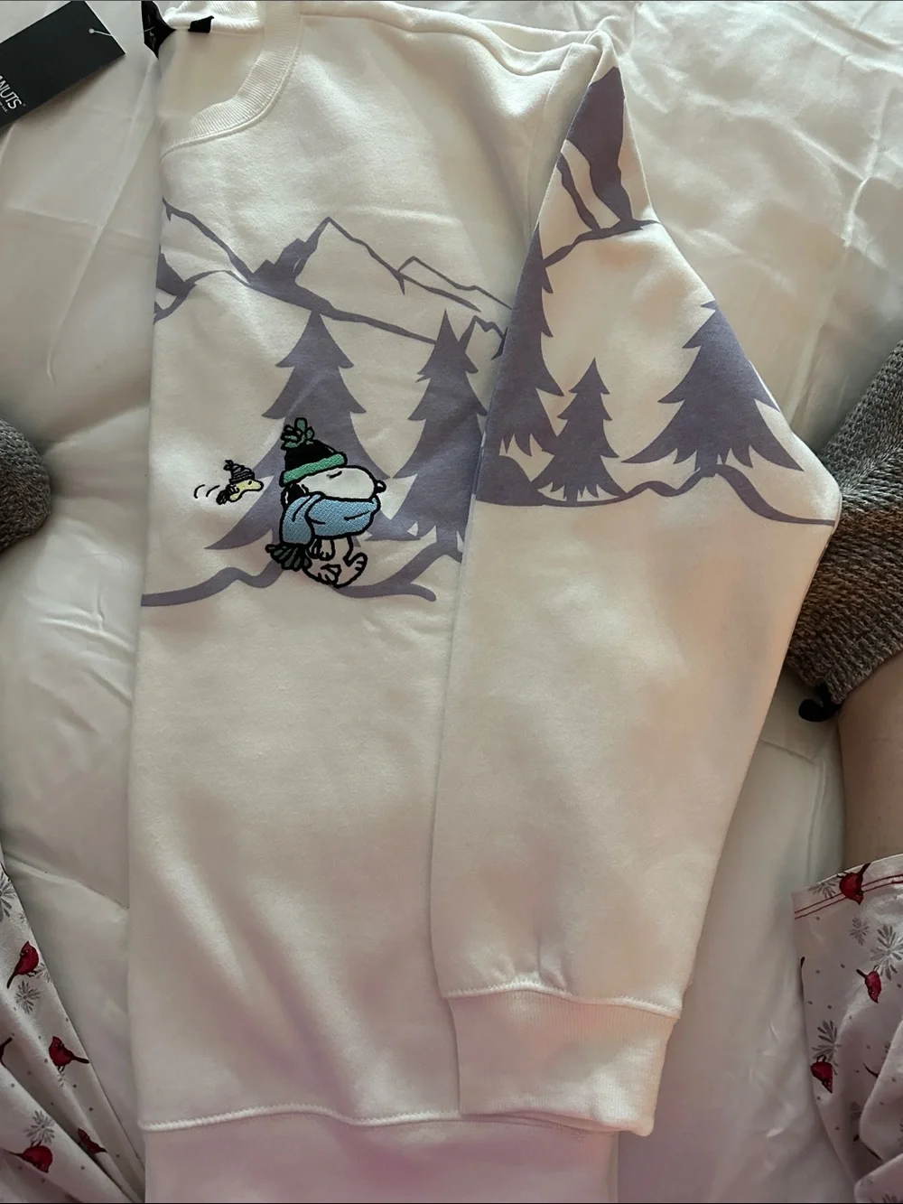 Peanuts White Sweatshirt with Lavender Mountain & Green Accents - Picture 3 of 4